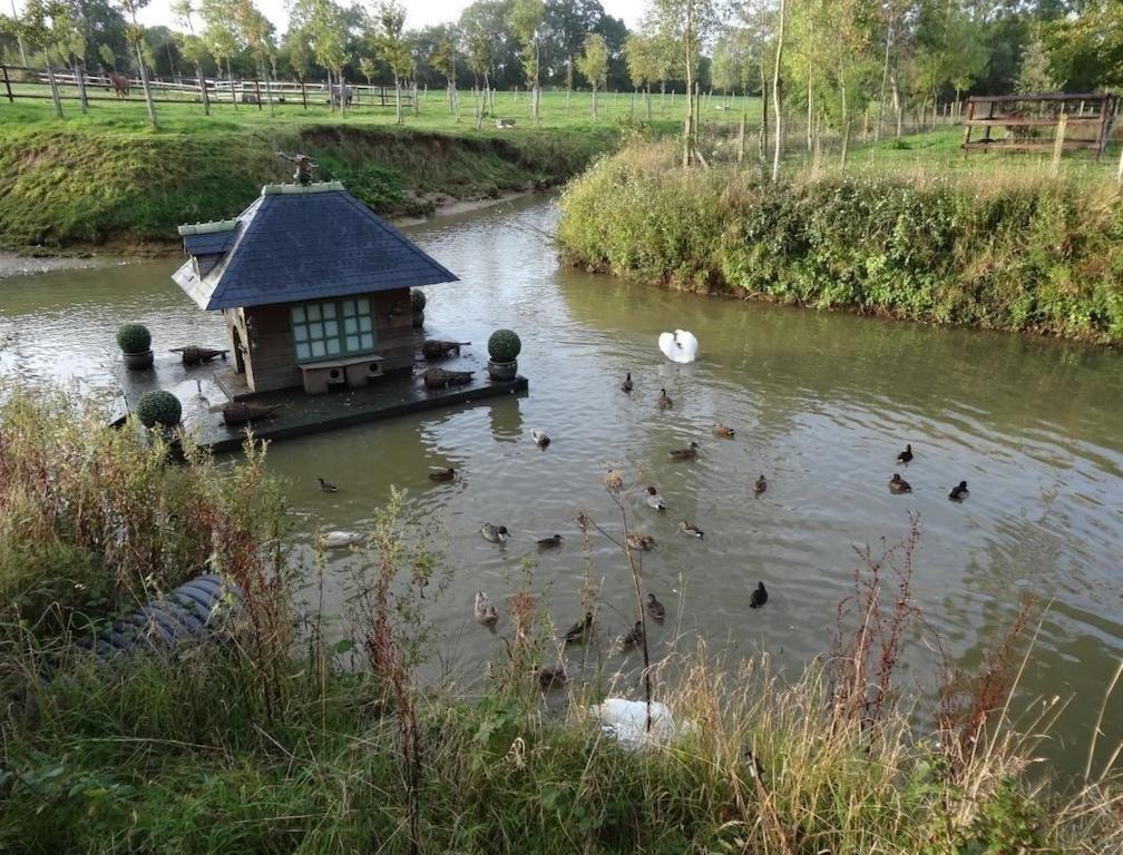 Ferme De Dauval Bed and Breakfast Mandeville-en-Bessin Εξωτερικό φωτογραφία